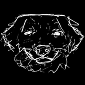 Avatar for niccy_om