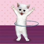 Avatar de Rayfemcel