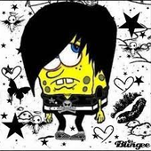 Avatar di mygflows