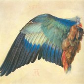 duerer