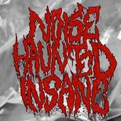 Noise Haunted Insane logo