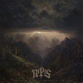 Shadow Dies in Morning Light