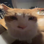 YKCHALLE