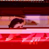 stvnrlly's Bandcamp profile image