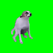 flying_for_fun 的头像