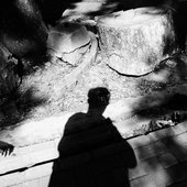 0020068305_10.jpg
