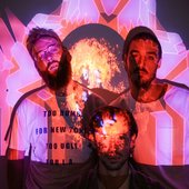 Swooping  (Swooping Duck)