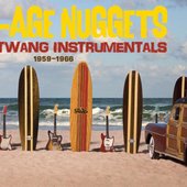 Surf Age Nuggets