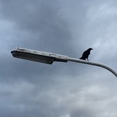ab6761610000e5eb969611b1296a7c5e26dfb76e.jpg
