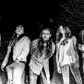 The Rattlebacks