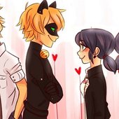LadyBug and Cat Noir