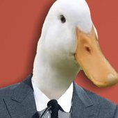 AugustTheDuck