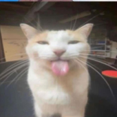 soy-soya 的头像