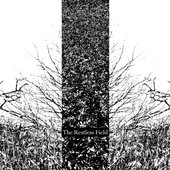 The Restless Field