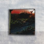 War Will Be Won (But Not By Your Guns) - Single