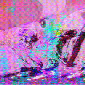 Avatar for cvrsed_