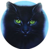 hollyleaf88 的头像
