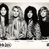 White Lion