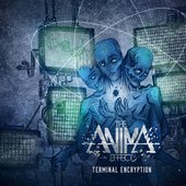 Terminal Encryption