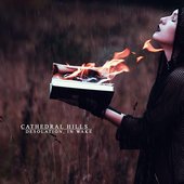 Desolation, in Wake
