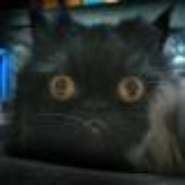 Avatar for rustymeow
