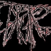 p&p logo