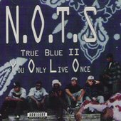trueblueiiyouonlyliveonce