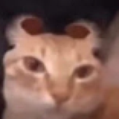 Och_0 的头像