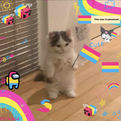 html_ari さんのアバター