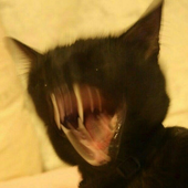 jonfuckinedgar 的头像