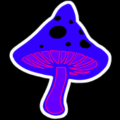 MagiicMushroom 的头像