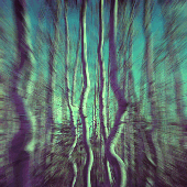 Avatar for openoutside