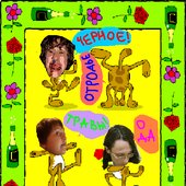 Картинка Енота