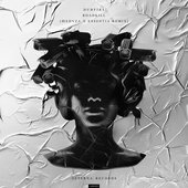 Roadkill (Meduza & ESSENTIA Remix)