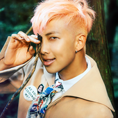 Rap Monster