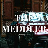 The Meddler