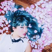 Polartropica