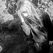 Spotify pic