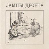 Самцы Дронта (Samtsi Dronta)