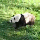 vidar8 的头像