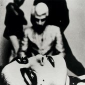 Siouxsie and the Banshees