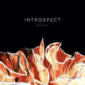 Introspect