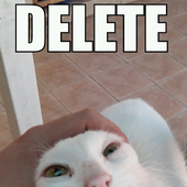 Avatar for DanRvC