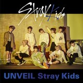 Unveil Stray Kids - iTunes Japan