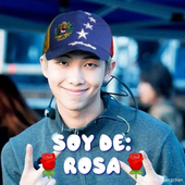 Avatar for RosaArmydeNam