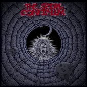 The Spiral Continuum