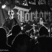 Tortorum live 