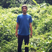 grass one