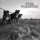 Pure Pleasure