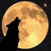 Bio-Wolf için avatar